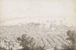 En panoramautsikt över Neapel av Antonio Senape