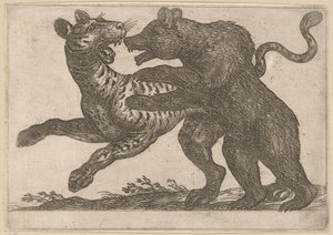 En björn som slåss mot en tiger Kampdjur (serietitel) av Antonio Tempesta