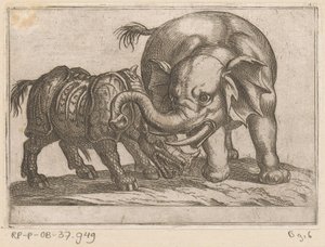 En noshörning slåss mot en elefant Kampdjur (serietitel) av Antonio Tempesta