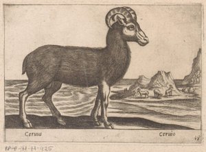 Ädelsten Cerinis / Ceruio (titel på objekt) Dieren en fabelwezens (serietitel) Nova samling av de mest nyfikna djuren i världen (serietitel) av Antonio Tempesta