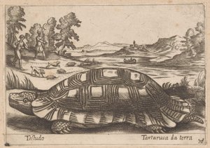 swedish av Antonio Tempesta