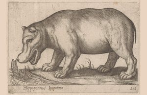 Flodhäst Flodhäst/Ippopotamo (titel på objekt) Djur och mytiska varelser (serietitel) Nova raccolta de li animali piu curiosi del mondo (serietitel) av Antonio Tempesta