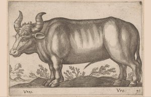 Runda Vres/ Vro (titel på objekt) Djur och mytiska varelser (serietitel) Nova raccolta de li animali piu curiosi del mondo (serietitel) av Antonio Tempesta