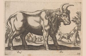 Tjur Vrus/ Vro (titel på objekt) Dieren en fablewezens (serietitel) Ny samling av världens mest nyfikna djur (serietitel) av Antonio Tempesta