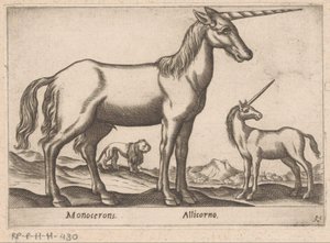 Två enhörningar och ett lejon Monocerons/ Allicorno (titel på objekt) Djur och mytiska varelser (serietitel) Nova raccolta de li animali piu curiosi del mondo (serietitel) av Antonio Tempesta