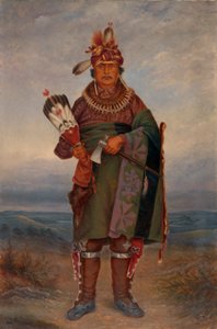 Sac- och Foxindianerna