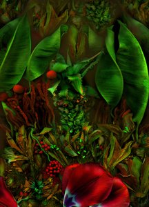  av Antonius Antonius