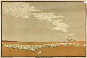 A Flock of Merino Sheep - Australien, från serien 