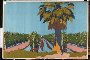 Bevattna vinbärsrankor - Australien (färg litho)