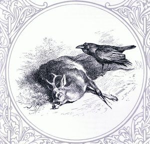 Deer and Raven, pub. av Book Club Associates av Archibald Thorburn