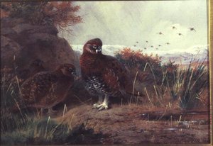Ripa i ett vinterlandskap av Archibald Thorburn