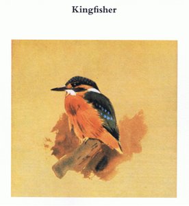 Kingfisher, pub. av Book Club Associates, 1972 av Archibald Thorburn
