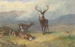 Monarch of the Glen av Archibald Thorburn