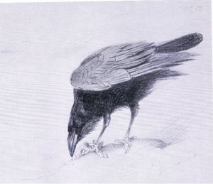 Raven, pub. av Book Club Associates av Archibald Thorburn
