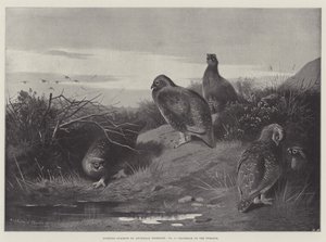 Idrottsämnen, gryningen den tolfte av Archibald Thorburn