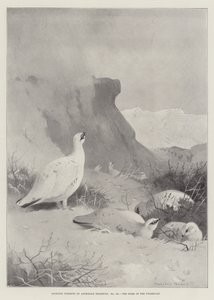 Mataupu tau Ta