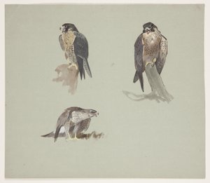 Tre färgskisser av pilgrimsman, ca 1915 (akvarell & kroppsfärg över penna på papper)