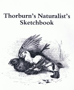 Titelsida (Stoat och Gamebird), pub. av Book Club Associates av Archibald Thorburn