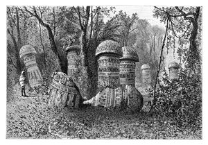 Ruinerna av ett Ahom-tempel, Dinajpur, Upper Assam, Indien, 1895.