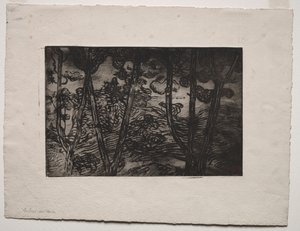 Träd om natten, ca. 1894. av Armand Séguin