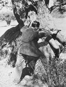 Salvatore Giuliano pekar med en pistol, 1937