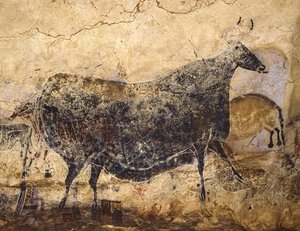 Svart ko. Grottmålning av Lascaux, ca 16.000-15.000 f.Kr. av Art of the Upper Paleolithic.