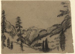 Bergslandskap med granar