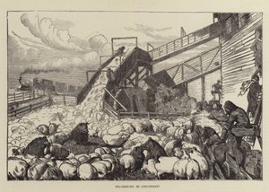 Griskörning i Cincinnati