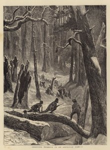 Att skjuta kalkoner i en amerikansk skog
