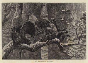 De triumferande kalkonerna av Arthur Boyd Houghton