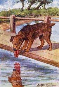 Aesops Fables: The Dog and the Shadow (färg litho)
