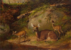 Doe och två fawns, 1882.