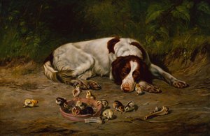 Bra doggy av Arthur Fitzwilliam Tait