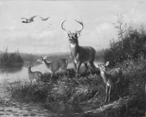 Om Qui Vive, Buck and Three Does, 1871. av Arthur Fitzwilliam Tait