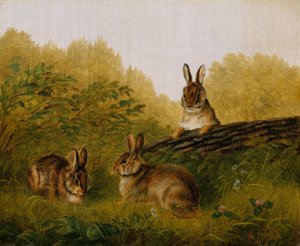 Kaniner på en stock, 1897.