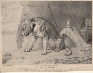 Sentineln av Arthur Fitzwilliam Tait