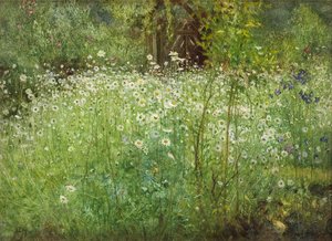 Oxeye Daisies and Irises, 1920 av Arthur Hacker
