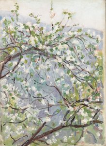 Blossom, ca 1900