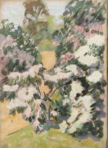 Blossom, ca 1900