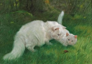 Arthur Heyer Intressant upptäckt 1923 av Arthur Heyer