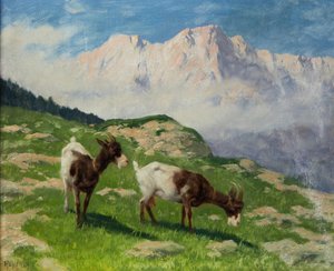 Arthur Heyer getter i ett bergslandskap