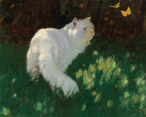 Vit katt och fjärilar