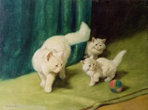Vit perserkatt med två kattungar