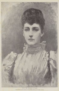 HKH prinsessan av Wales av Arthur Hopkins