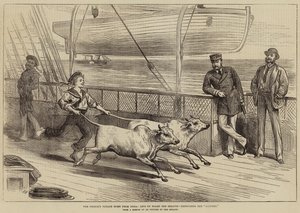 Prinsens resa hem från Indien, livet ombord på Serapis, utövandet av Gainees