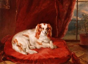 En Cavalier King Charles Spaniel liggande på en röd kudde av Arthur J. Stark