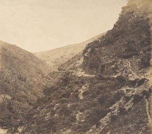 På vägen till Watersmeet, nära Lynton, North Devon, 1856. av Arthur Julius Pollock