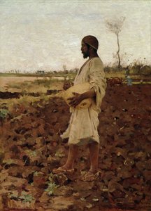 En egyptisk såningsman, 1881