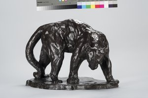Stort Puma-luktande oxspår av Arthur Putnam