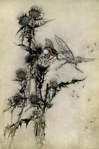 En midsommarnattsdröm av Arthur Rackham